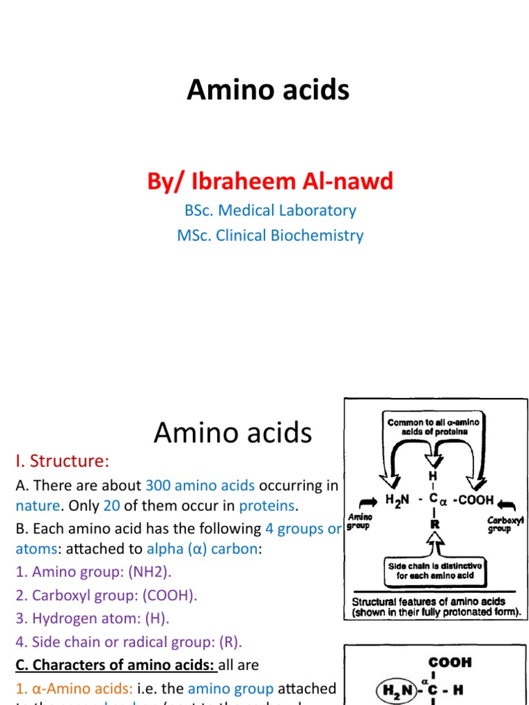 Amino Acids | PDF