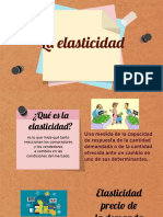 Preparacion de Proyectos - Elasticidad