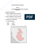 Informe Actividad de Emergencia Paquichari