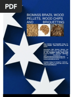 Download Biomass and Renewable Energy Brazil by mar4478 SN5999438 doc pdf