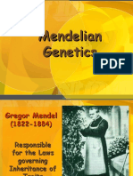 6 Genetics Mendelian