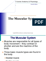 Muscle System