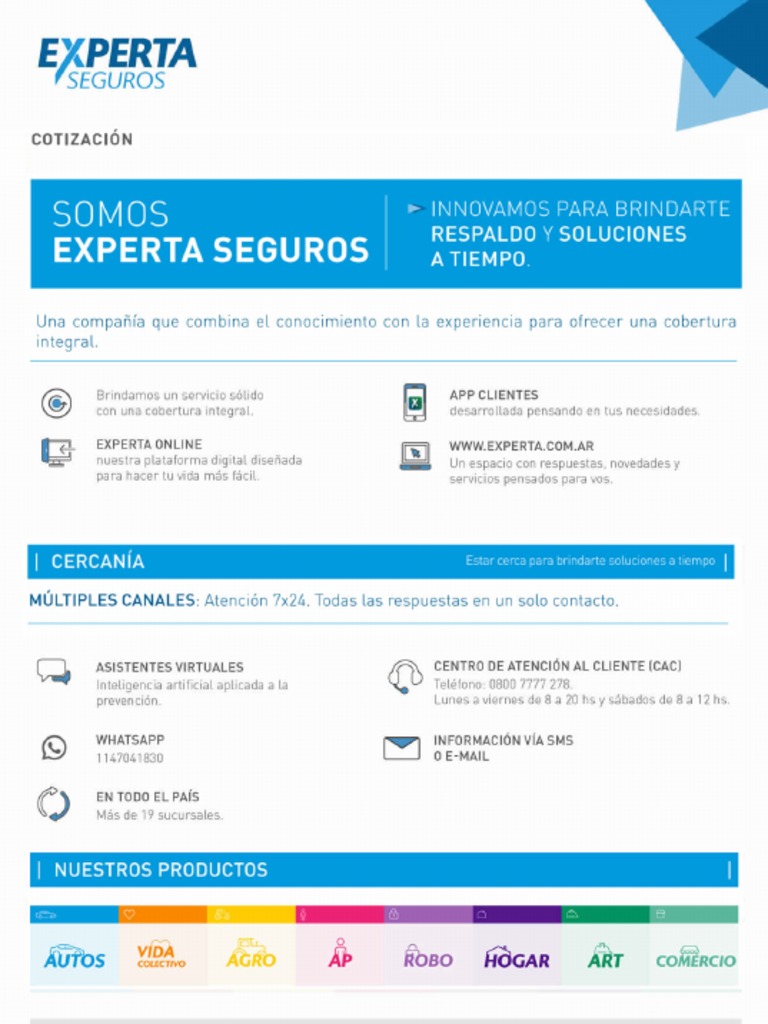 Experta Presupuesto 65133804 | PDF