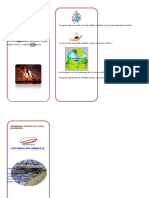 TRIPTICO ADULTO Contaminacion Ambienta