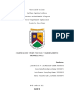 Comunicación, Tipos y Procesos - Comportamiento Organizacional