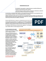 Transcripción ADN-ARN: proceso y enzimas