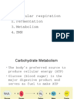 Metabolism, BMR