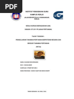 Daftar Manfaat Petai Adalah  Kumpulan Laporan Keuangan Fiskal