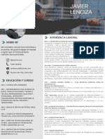 Curriculum Vitae Javier Lenciza