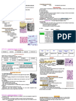 Hhis Connective Tissue