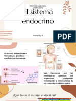 El Sistema Endocrino