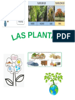 Presentacion Las Plantas