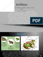 Anfibios