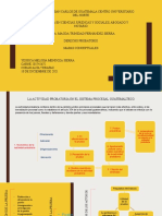 Esquemas Derecho Probatorio