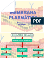 Membrana celular: estrutura, funções e transportes