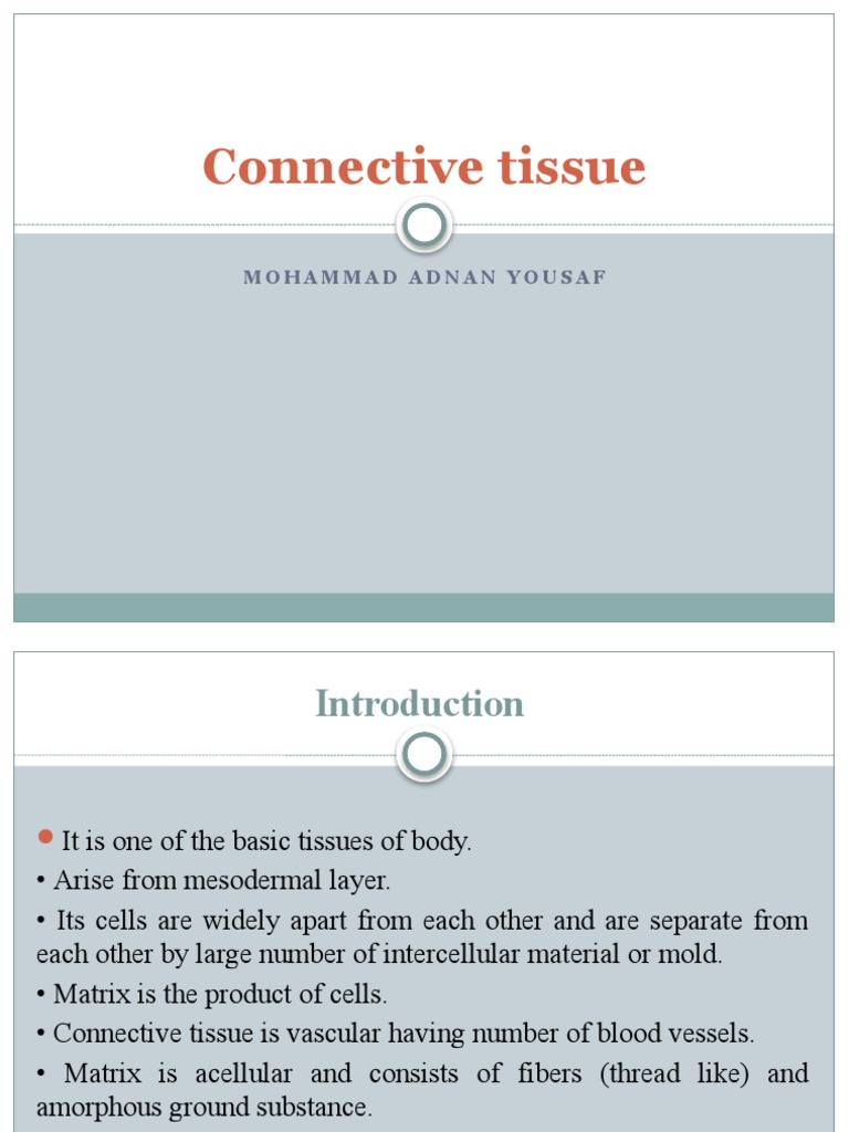 Conquer Connective Tissue An Engaging Labeling Activity - dbe12ev