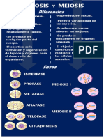 Evidencia 2_Meiosis y Mitosis