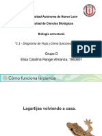 E1 - Diagrama de Flujo