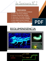 Seminario bioluminiscencia