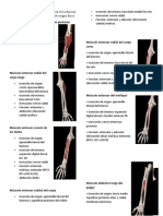 (1.3) Curso Evaluación e Intervención de La Función Manual Del Adulto Con Alteraciones de Origen Físico