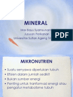 MINERAL1