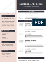 214 Curriculum Vitae Curriculo