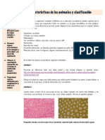 Laboratorio 1. Características de Los Animales y Clasificación