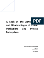A Look at The Advantages and Disadvantages of Public Institutions and Private Enterprises.