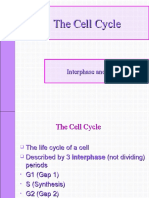 Cell Cycle&Mitosis