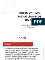 192020317-Traktus-Dorsal-Column-medial-Lemniscus