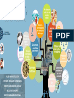 Mapa Mental - Longitudinal y Transversal