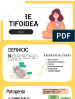 Fiebre Tifoidea