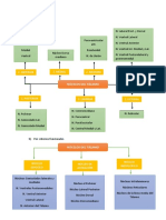 Núcleos del tálamo por zonas, criterios funcionales y clasificación filogenética