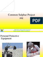 Common Sulphur Project