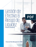 04 Lectura 1° Gestión de Efectivo y Riesgo de Liquidez