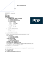 (06) ESQUEMA DE TESIS