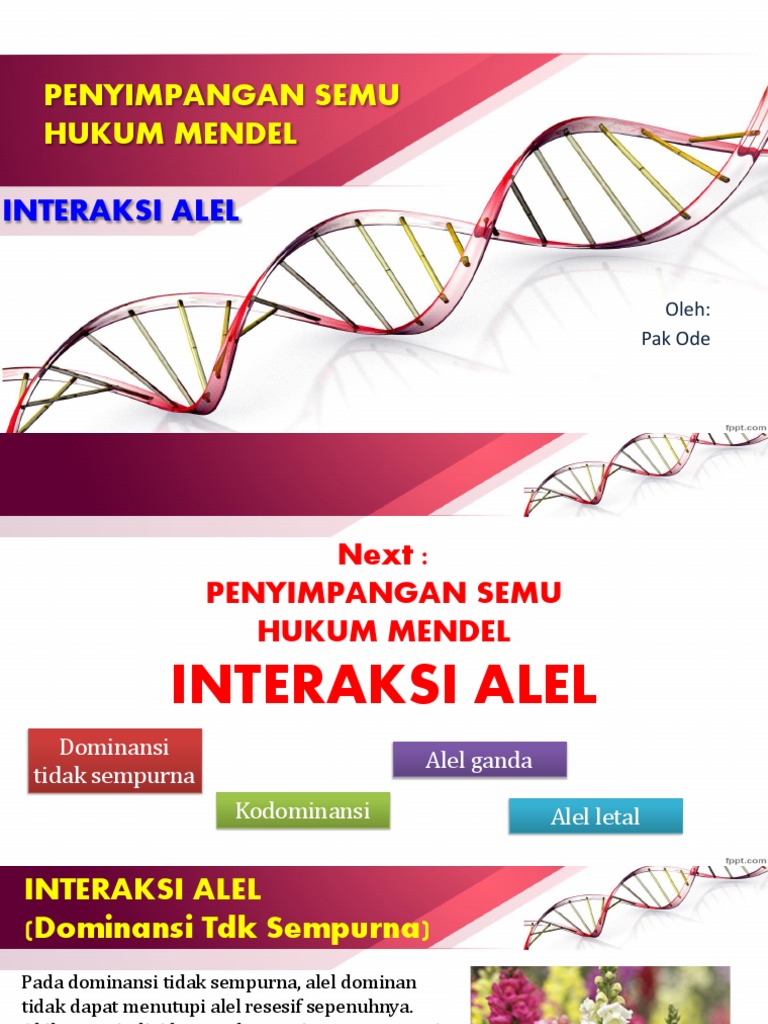 Part 03 - Penyimpangan Semu Hukum Mendel | PDF