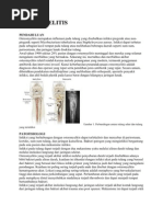 Download 56327963-OSTEOMYELITIS by Teddy Dwi Sapta SN60002598 doc pdf
