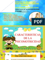 Caracteristicas de La Psicomotricidad