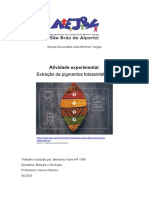 Extração de pigmentos fotossintéticos de folhas verdes e amarelas