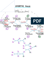 Non Oxidative Phase