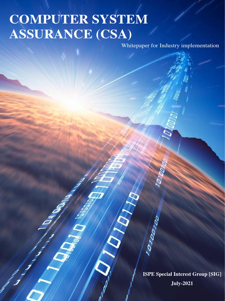 Computer System Assurance - White Paper | PDF