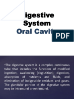 Histology Digestive System Oral Cavity