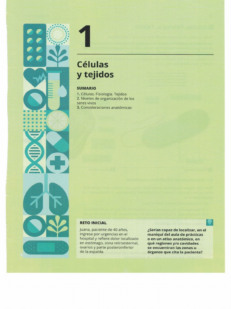 Tema1 Técnicas Básicas De Enfermería Pdf