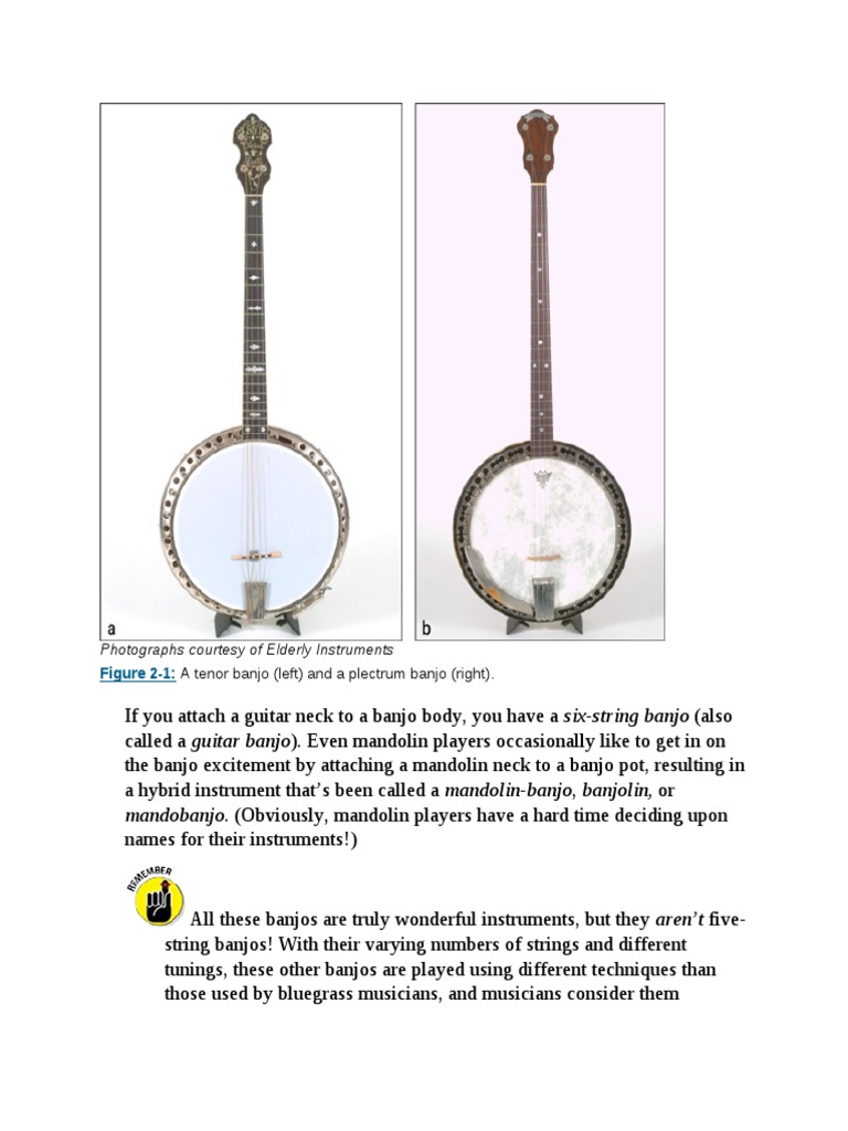 Bluegrass Banjo For Dummies PDFDrive 34 PDF