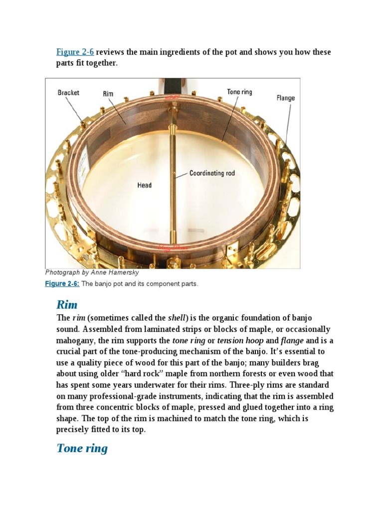 Bluegrass Banjo For Dummies PDFDrive 43 PDF