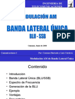 Banda Lateral Unica