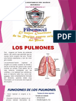 Los Pulmones