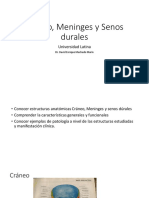 Cráneo, Meninges y Senos Durales