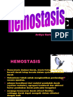 Pengantar Hemostasis